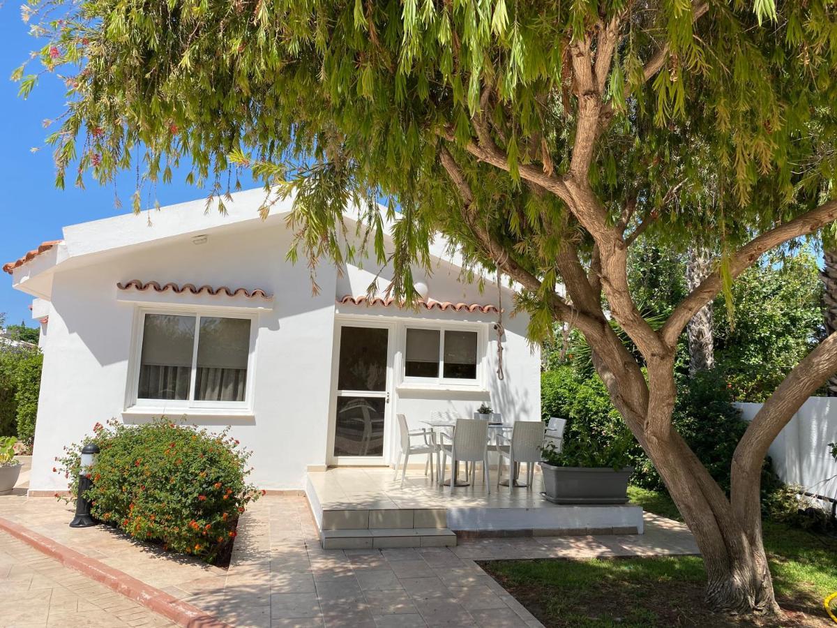 Fig Tree Z Holiday Resort Paralimni Luaran gambar